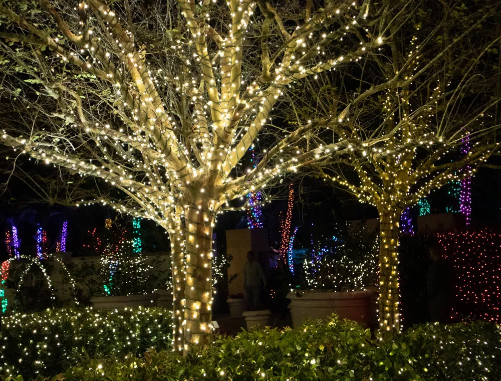 5mm LED Christmas Lights 35L Warm White