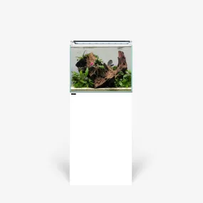 CLEAR 2420 PLUS Edition