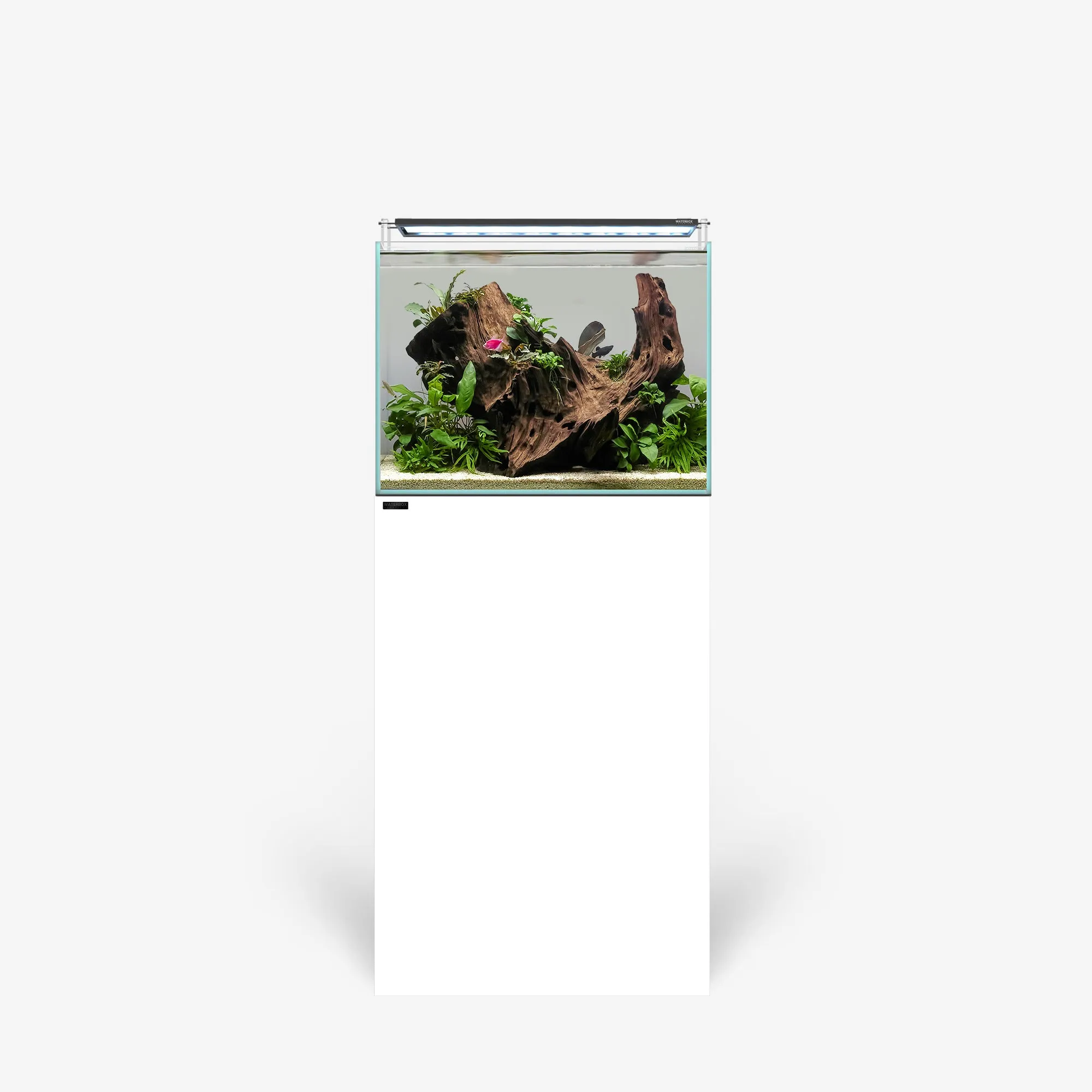 CLEAR 2420 PLUS Edition