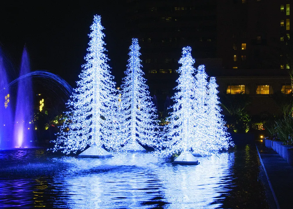 Crystal Branch Illuminated Trees