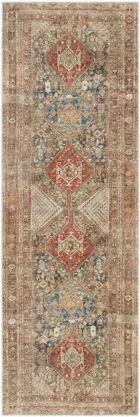 Episkopi Traditional Rust Washable Area Rug