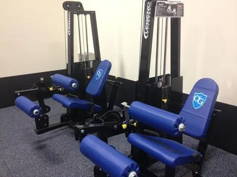 Leg Extension - Leg Curl Combo - 918 Legend