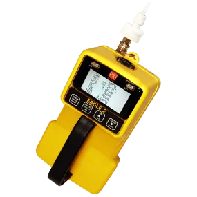 RKI Eagle 2 (6-Gas Sample Drawing Monitor)