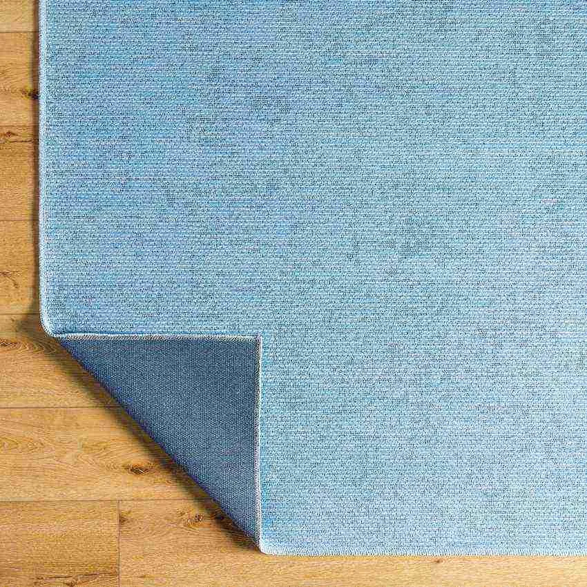 Tobey Solid and Border Pale Blue Washable Area Rug