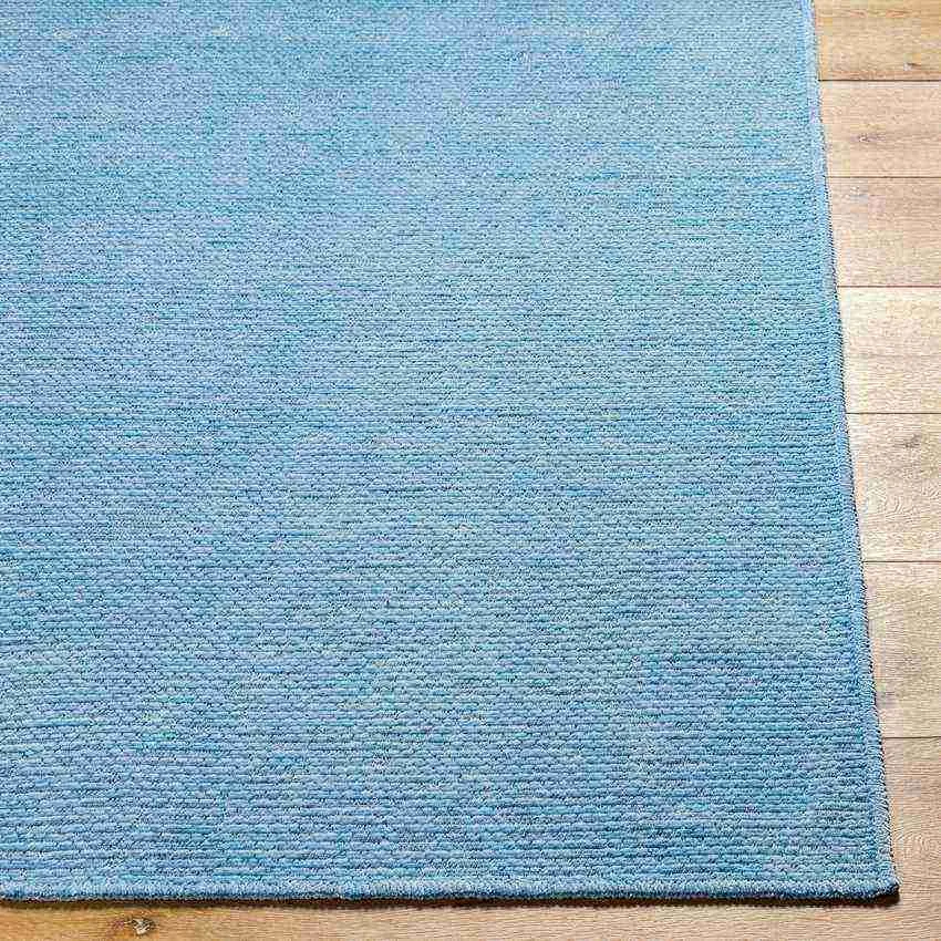 Tobey Solid and Border Pale Blue Washable Area Rug