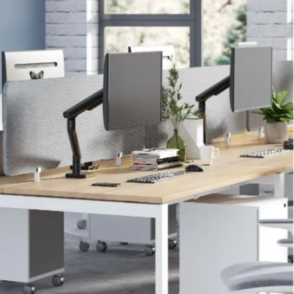 Valor Dynamic Monitor Arm