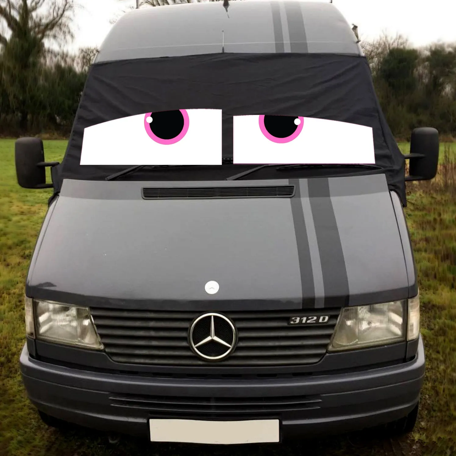 VW LT / Mercedes Sprinter 95-06 Screen Cover - James Eyes